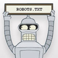 Robots.txt для WordPress